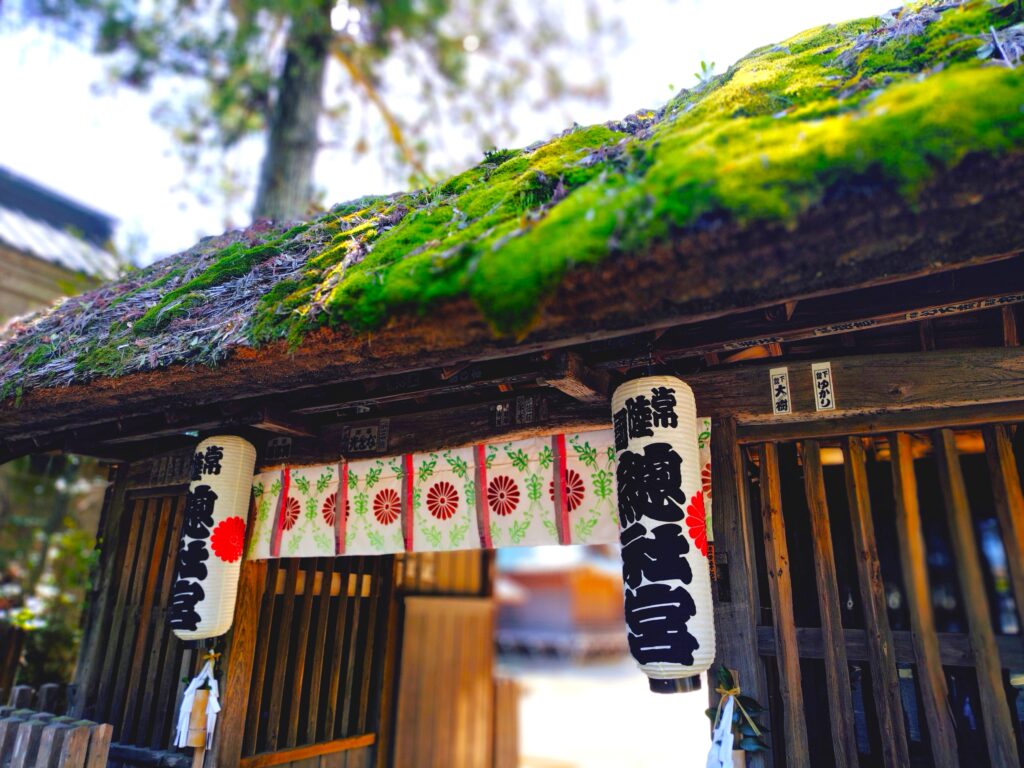 20260412 100053738 2 1024x768 - 常陸國總社宮【茨城県】