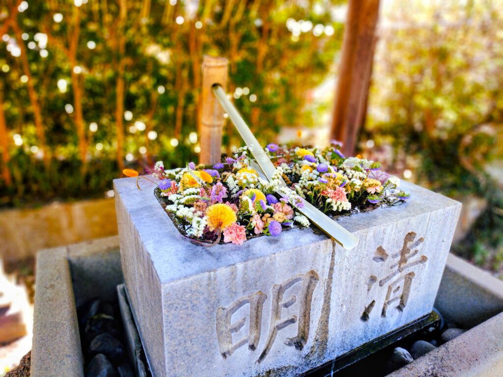 20260412 100133862 2 1024x768 - 常陸國總社宮【茨城県】