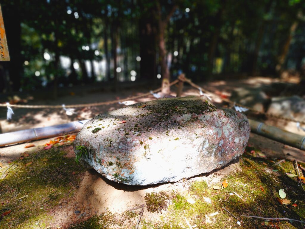 20260412 100410019 1024x768 - 常陸國總社宮【茨城県】