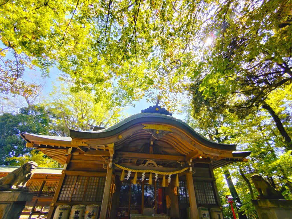 20260412 100457352 1024x768 - 常陸國總社宮【茨城県】