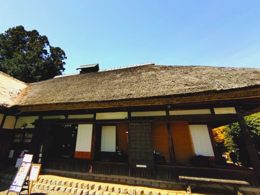 常陸風土記の丘【茨城県】 20260412 103239716 1024x768 - 常陸風土記の丘【茨城県】