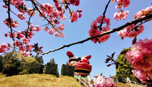 20260412 1105194472 520x300 - トップページ用の固定ページ-日本語