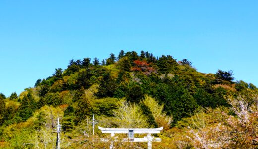 20260412 1244576252 520x300 - トップページ用の固定ページ-日本語