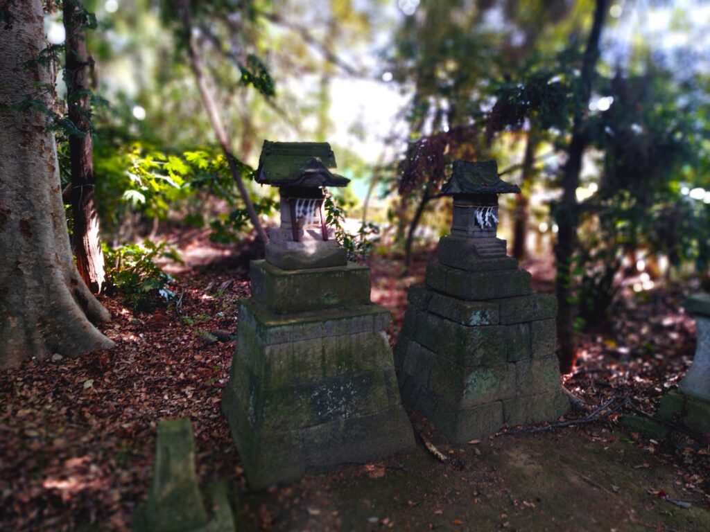 20260419 093154165 1024x768 - 朝日森天満宮【栃木県】