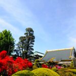 20260419 1010506072 150x150 - 唐澤山神社【栃木県】