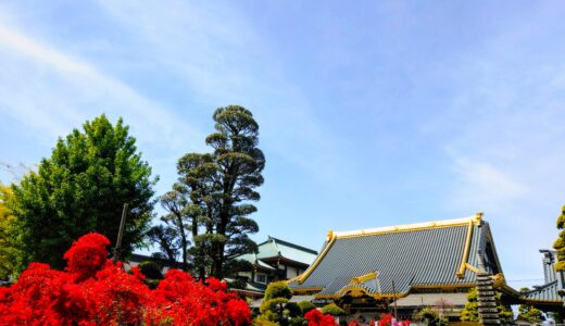 20260419 1010506072 520x300 - トップページ用の固定ページ-日本語