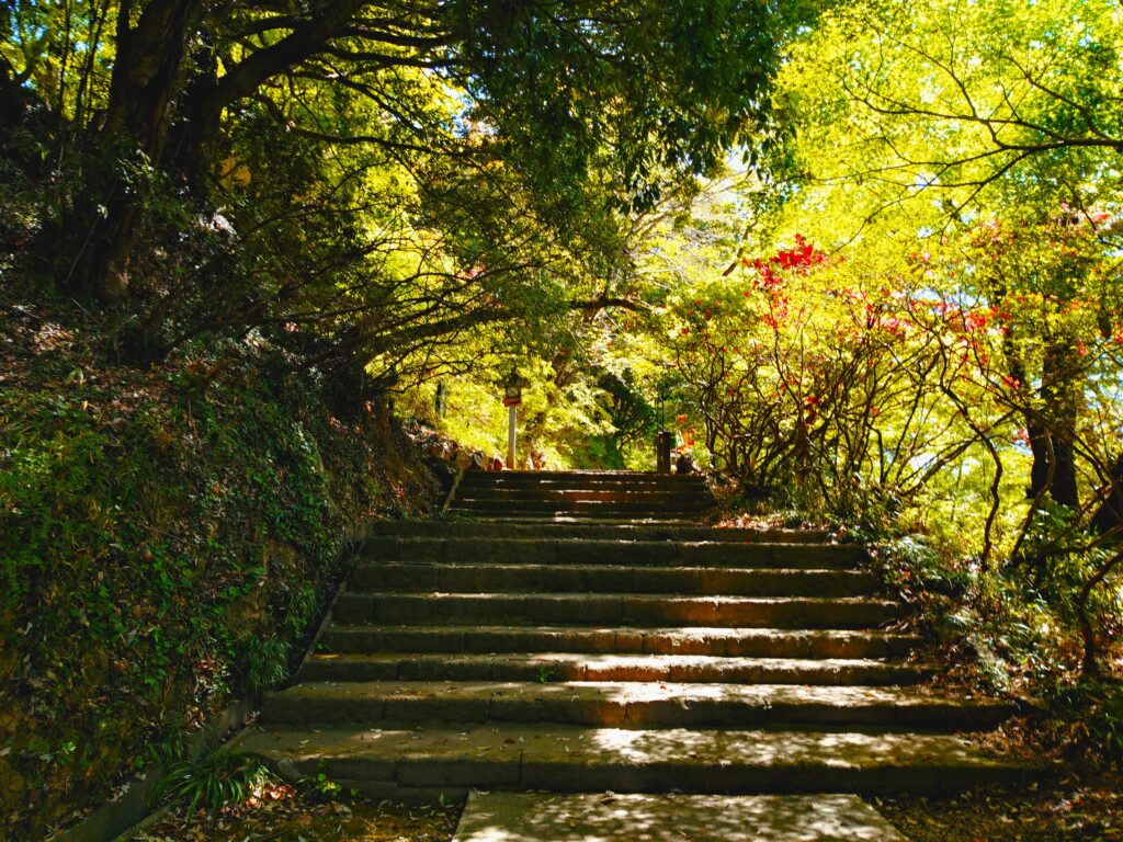 20260419 105322147 1024x768 - 唐澤山神社【栃木県】