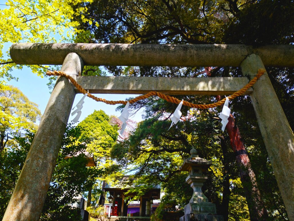 20260419 105848279 1024x768 - 唐澤山神社【栃木県】