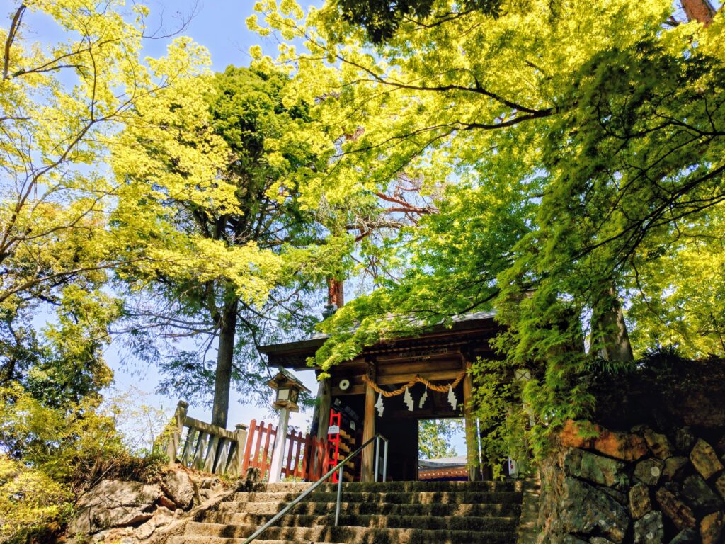 20260419 1104030592 1024x768 - 唐澤山神社【栃木県】