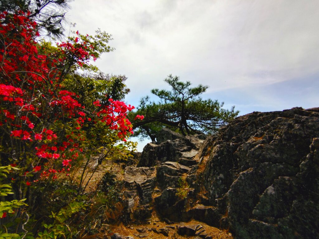 20260419 113203727 1024x768 - 唐澤山神社【栃木県】