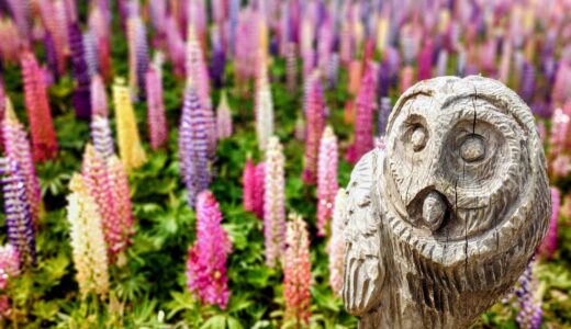 20260419 1242299452 520x300 - トップページ用の固定ページ-日本語