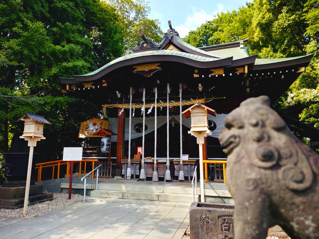 埼玉県川口市 鎮守氷川神社の荘厳な社殿と狛犬 埼玉県川口市 鎮守氷川神社の荘厳な社殿と狛犬
