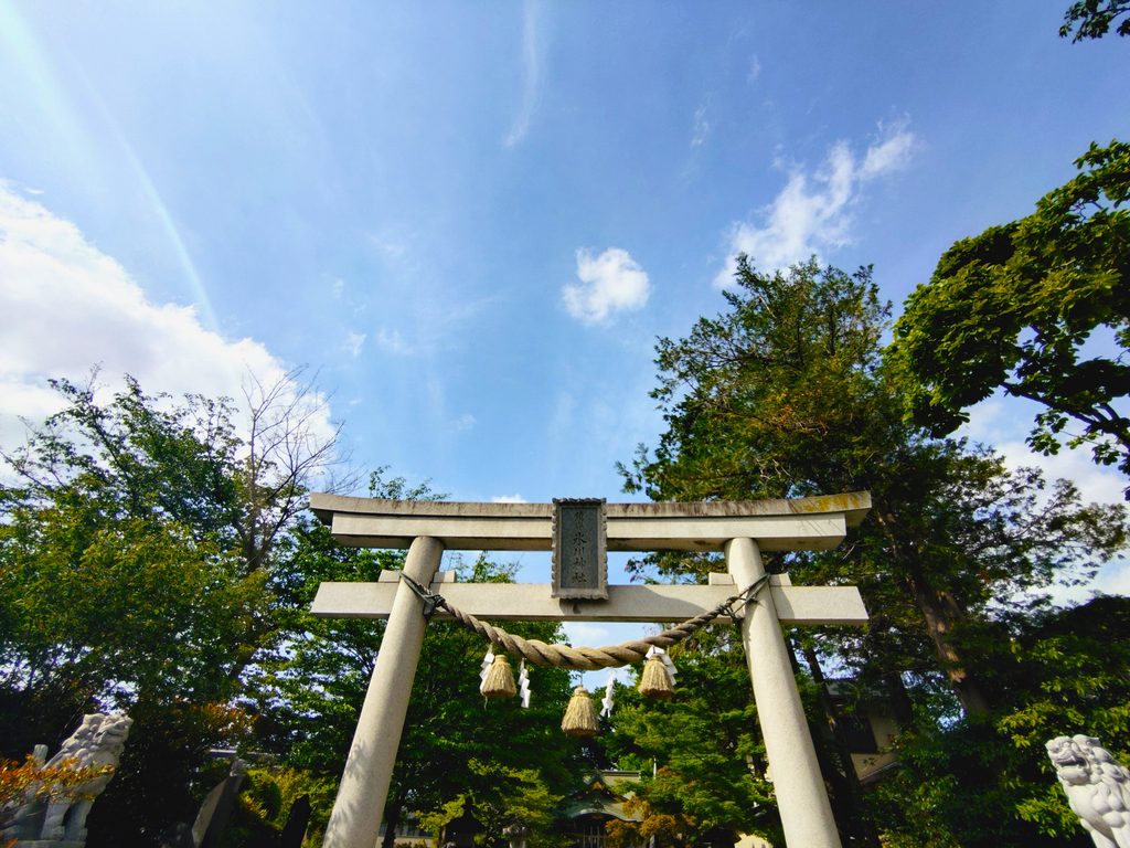 埼玉県川口市 鎮守氷川神社の立派な大鳥居 埼玉県川口市 鎮守氷川神社の立派な大鳥居