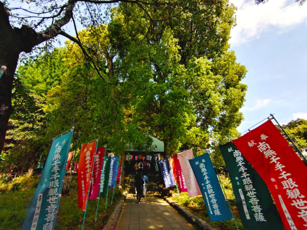 20260426 093208607 1024x768 - 塩船観音寺・塩船観音つつじ園【東京都】
