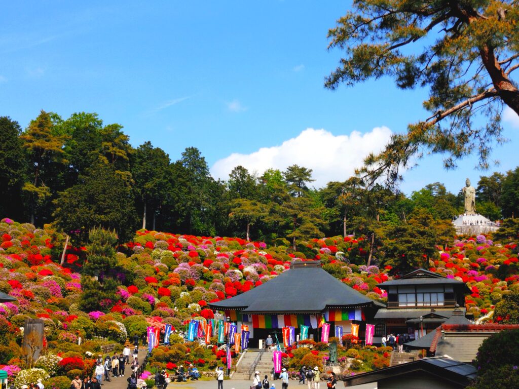 20260426 093730274 3 1024x768 - 塩船観音寺・塩船観音つつじ園【東京都】