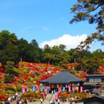 20260426 093730274 3 150x150 - 三宝寺【東京都】