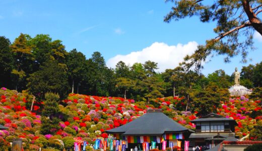 20260426 093730274 3 520x300 - JAPAN SHRINE GUIDE