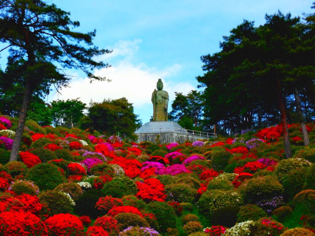 現在の画像に代替テキストがありません。ファイル名: 20260426_094855493-2-scaled.jpg