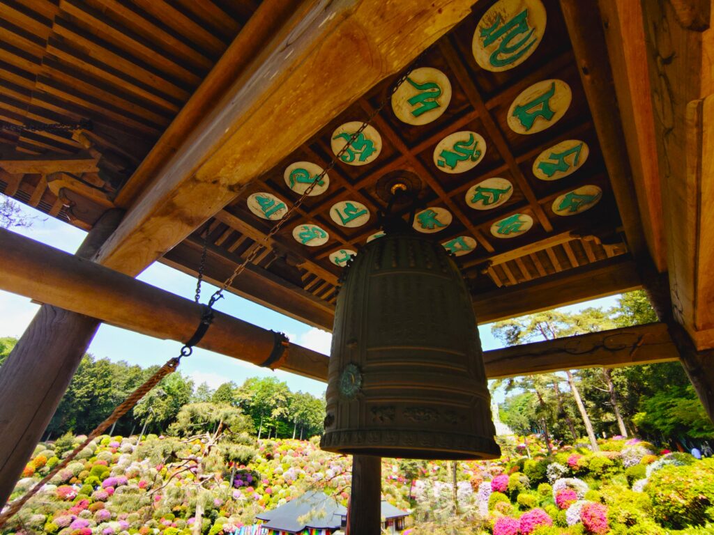 20260426 100521960 1024x768 - 塩船観音寺・塩船観音つつじ園【東京都】