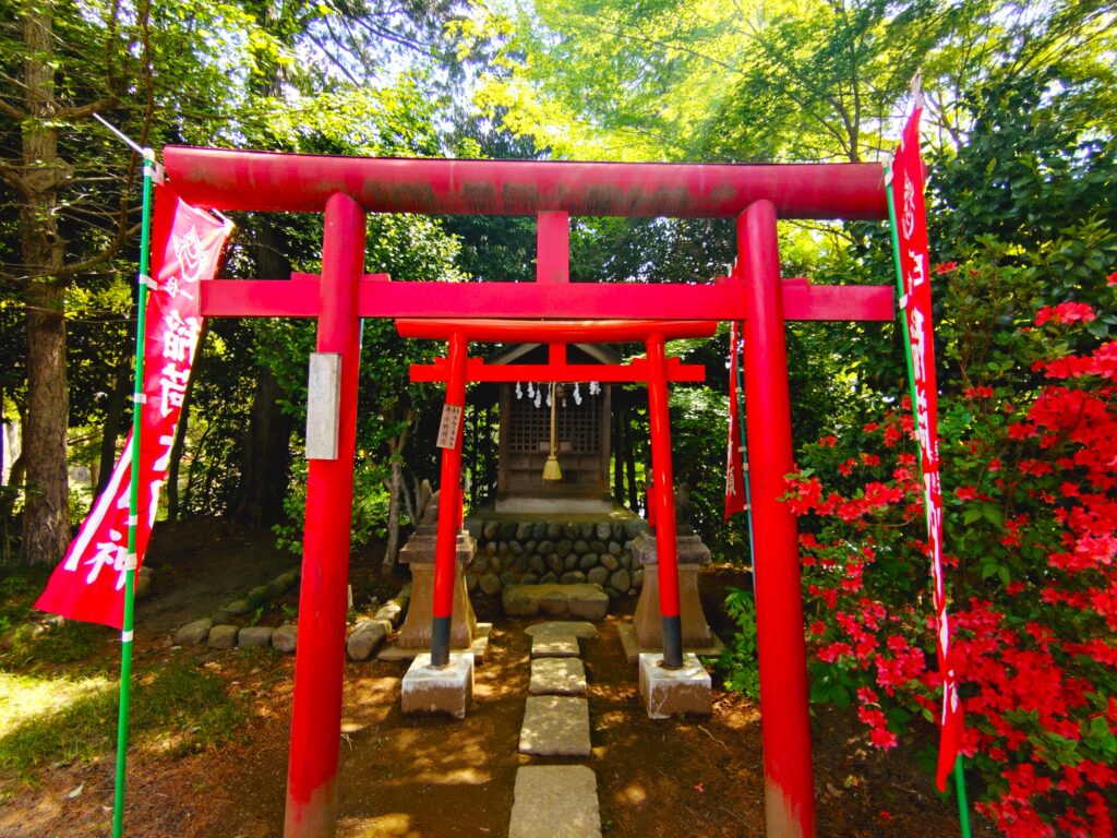 20260426 100627604 1024x768 - 塩船観音寺・塩船観音つつじ園【東京都】