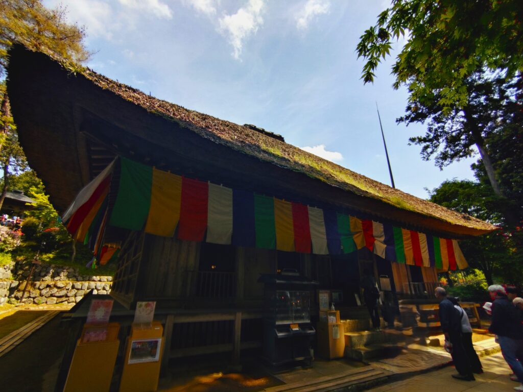 20260426 100902566 2 1024x768 - 塩船観音寺・塩船観音つつじ園【東京都】