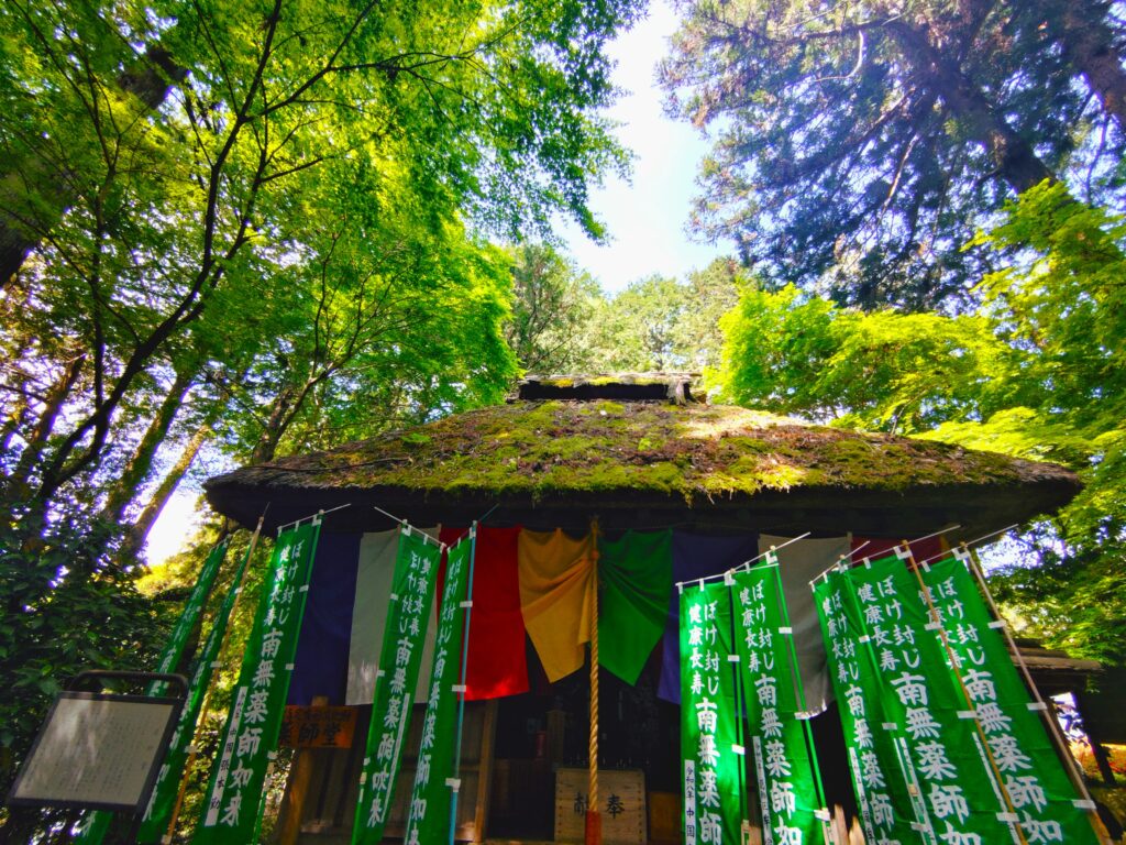 20260426 101808956 1024x768 - 塩船観音寺・塩船観音つつじ園【東京都】