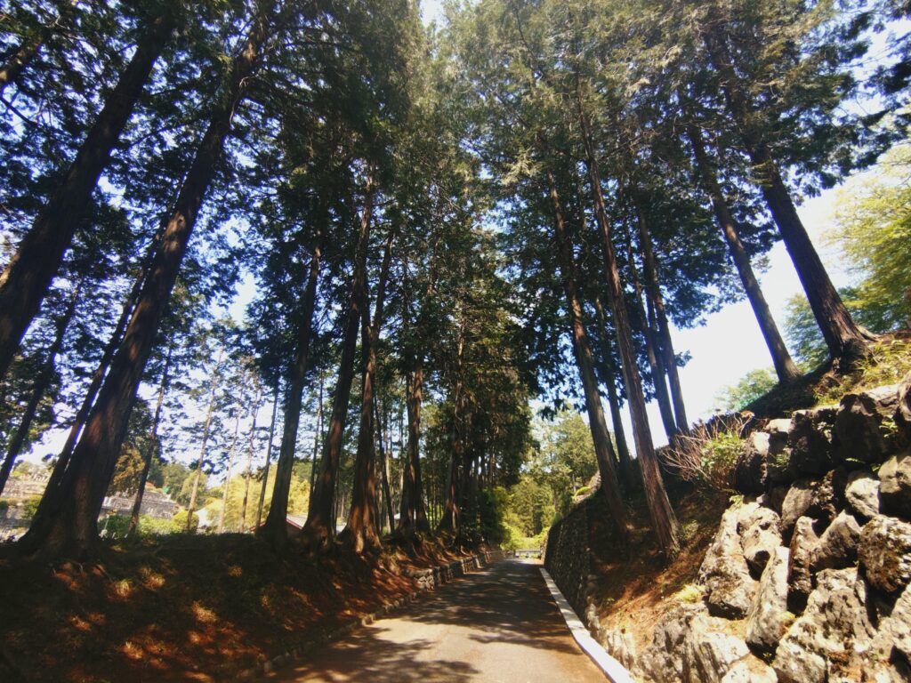 20260426 124354849 1024x768 - 高峯山 天寧寺【東京都】
