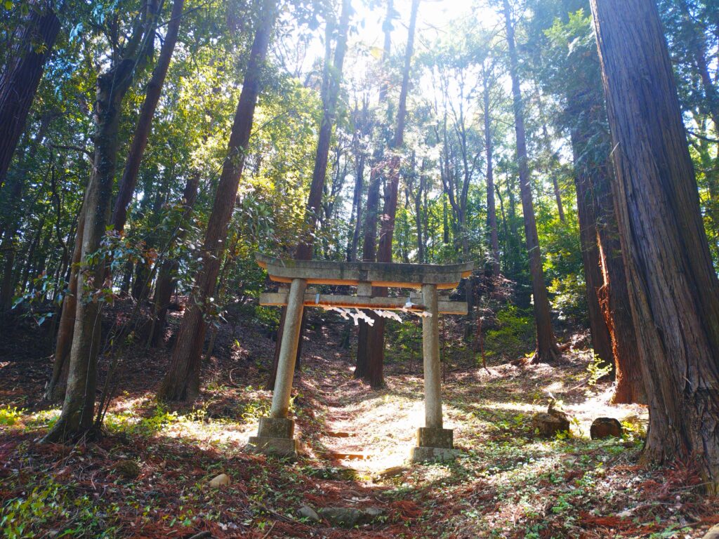 20260426 130110312 1024x768 - Torakashiwa Shrine [Tokyo]