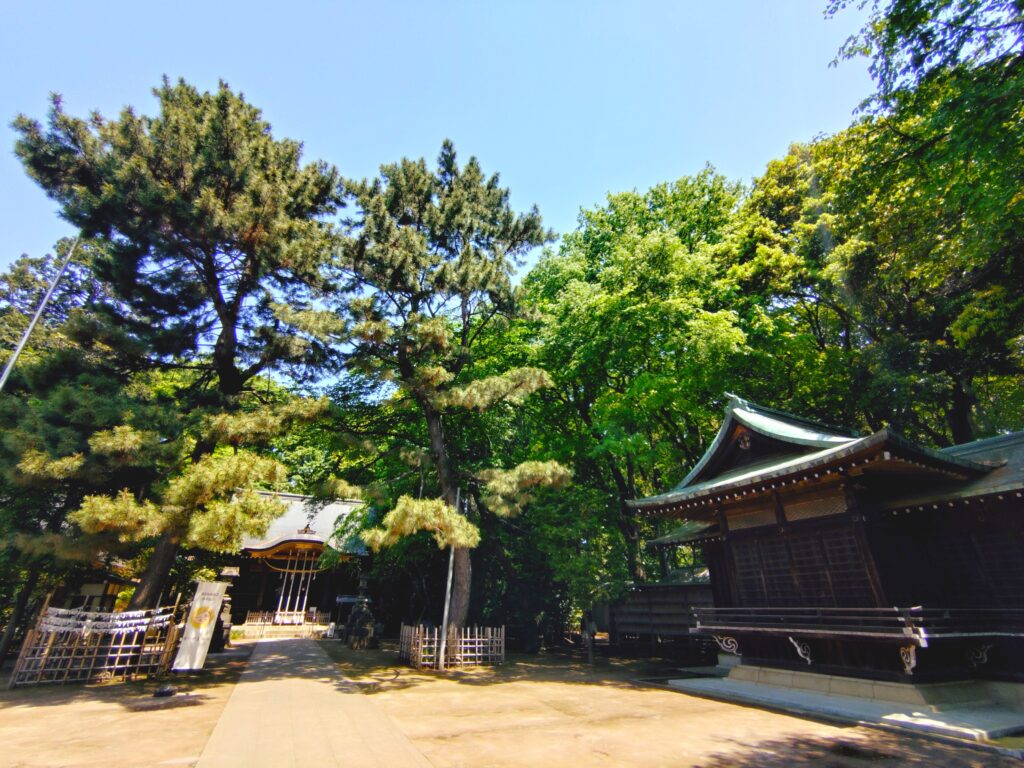 20260502 110256672 1024x768 - 石神井氷川神社と石神井公園【東京都】