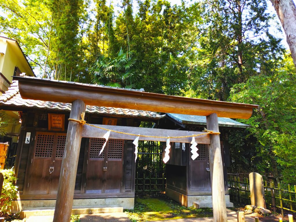 20260502 110625479 1024x768 - 石神井氷川神社と石神井公園【東京都】