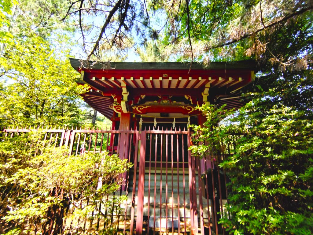 20260502 111611616 1024x768 - 石神井氷川神社と石神井公園【東京都】