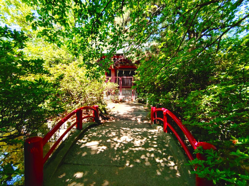 20260502 111933072 1024x768 - 石神井氷川神社と石神井公園【東京都】