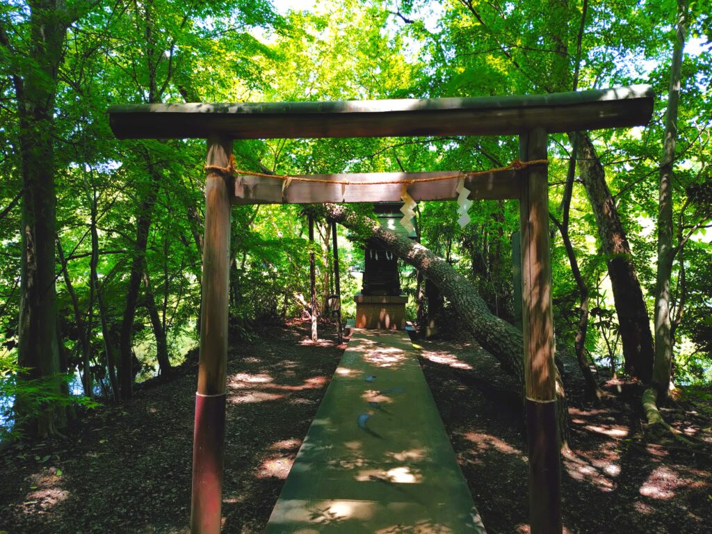 20260502 112154142 1024x768 - 石神井氷川神社と石神井公園【東京都】