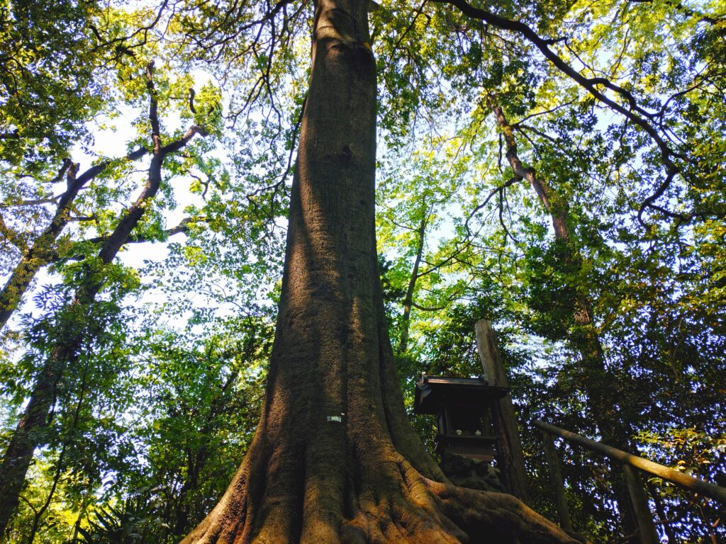 20260502 113718337 1024x768 - 石神井氷川神社と石神井公園【東京都】