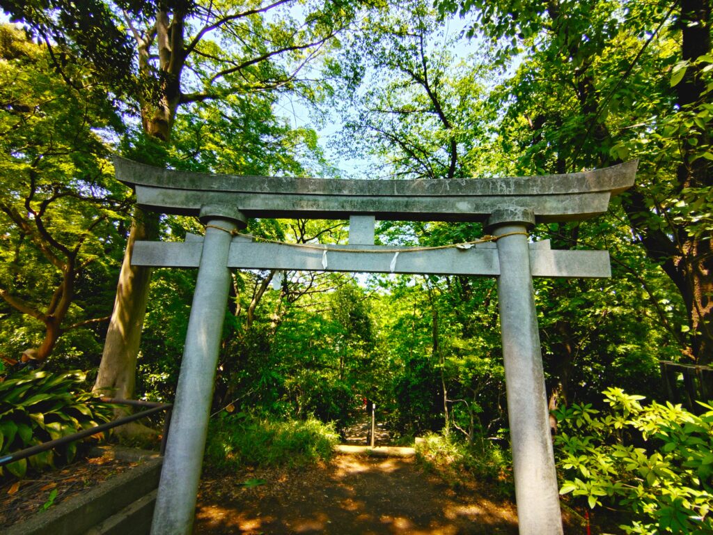 20260502 115158697 1024x768 - 石神井氷川神社と石神井公園【東京都】