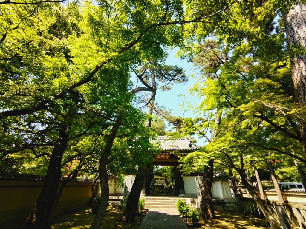 20260502 125554511 1024x768 - 道場寺【東京都】