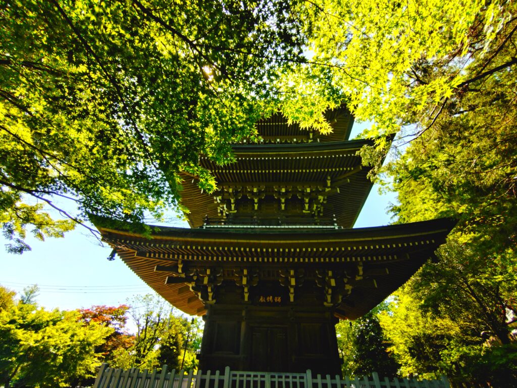 20260502 125708595 1024x768 - 道場寺【東京都】