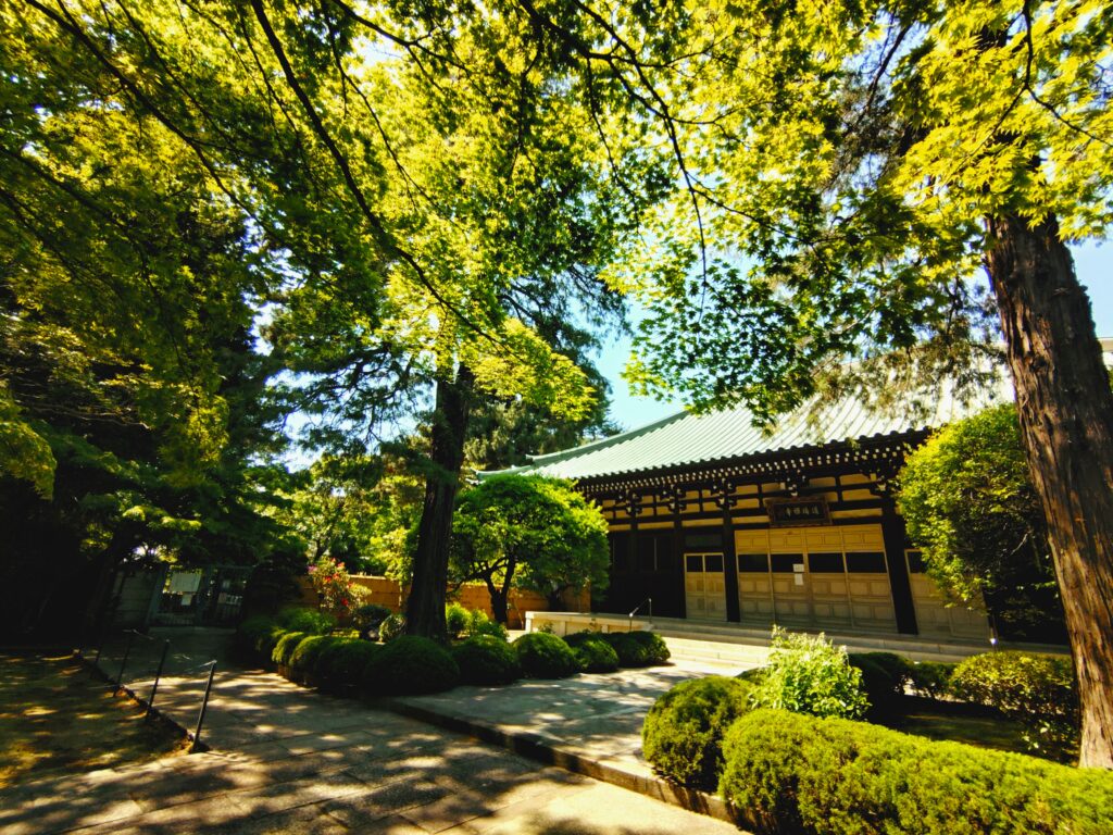 20260502 130125281 1024x768 - 道場寺【東京都】