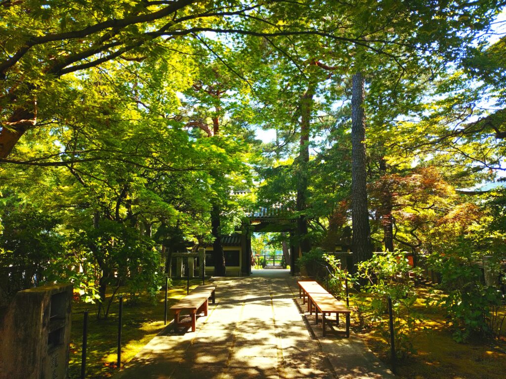 20260502 130133921 1024x768 - 【石神井散策】東京石神井・深い森に眠る歴史の余韻を歩く