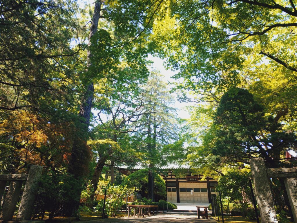 Dojoji Temple [Tokyo] | Kanata's Japan Shrine Guide
