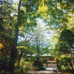 20260502 1304402602 150x150 - 三宝寺【東京都】