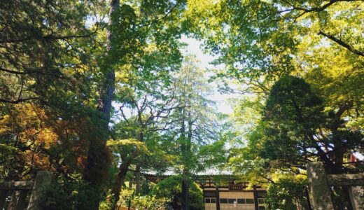 20260502 1304402602 520x300 - 【石神井散策】東京石神井・深い森に眠る歴史の余韻を歩く