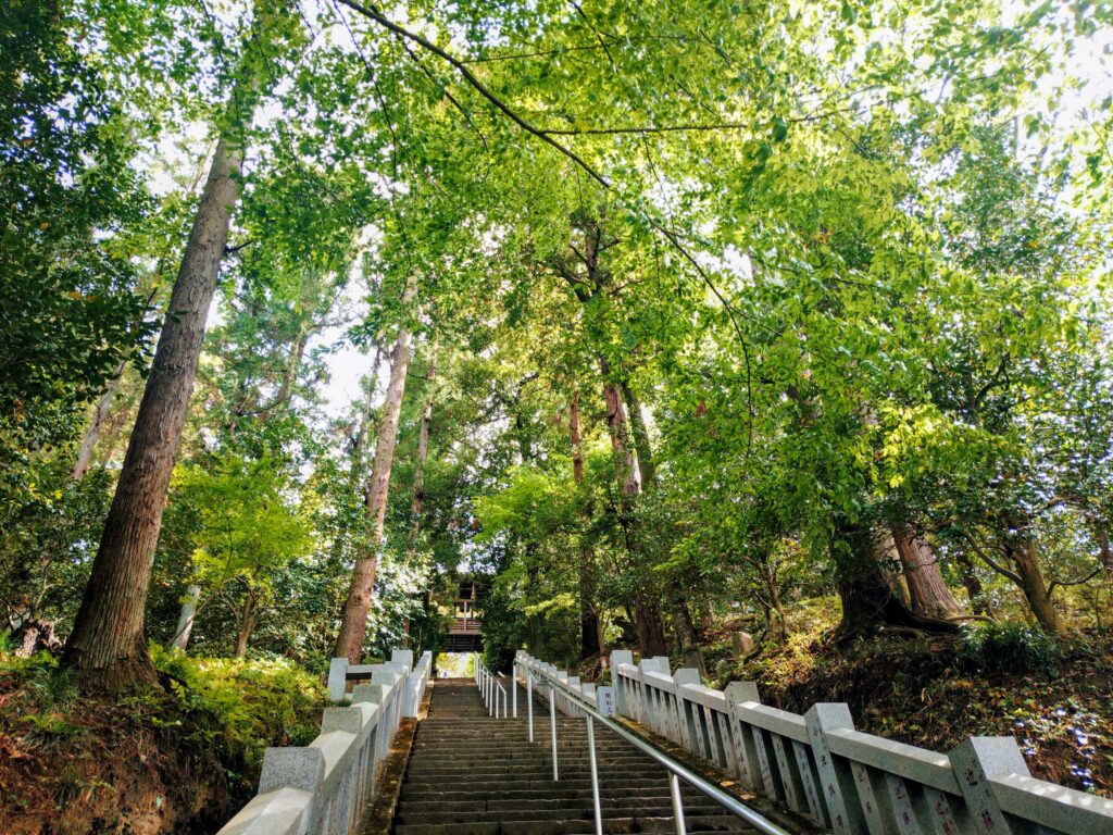 20260504 1411510922 1024x768 - 少林山 達磨寺【群馬県】