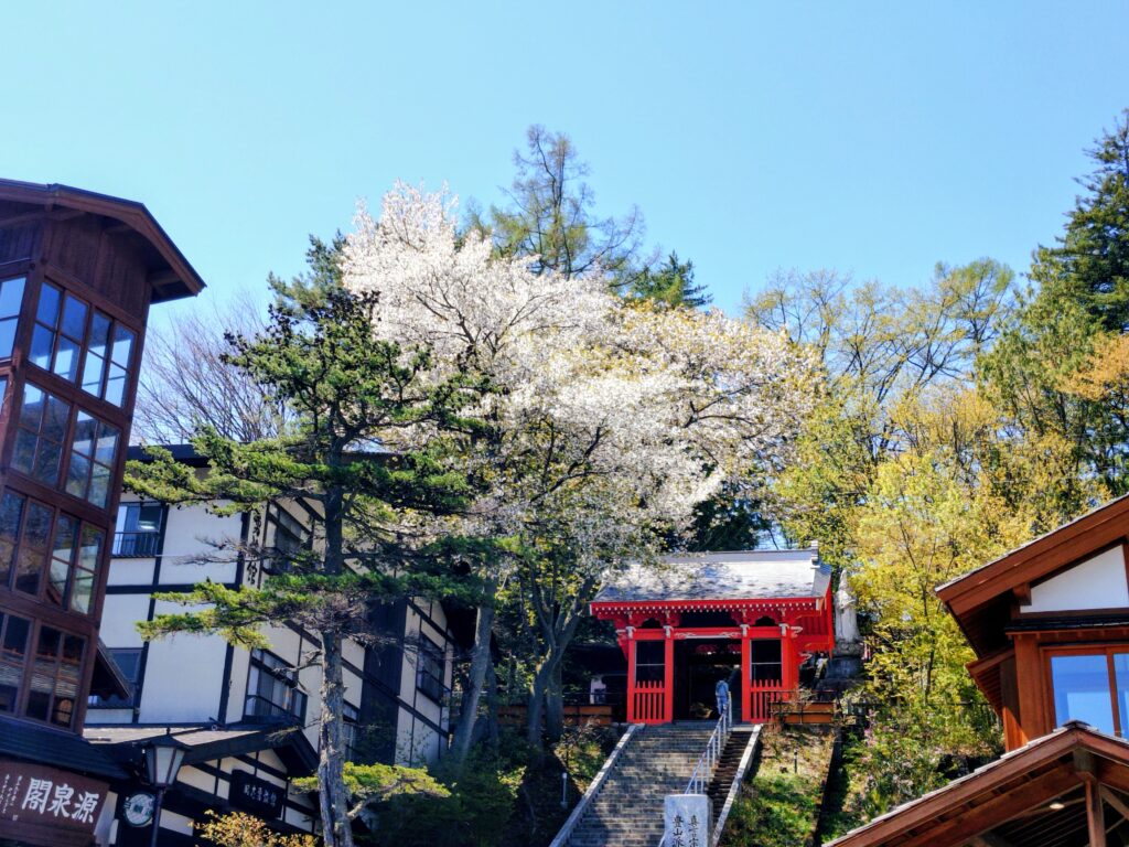 現在の画像に代替テキストがありません。ファイル名: 20260505_1014577762-scaled.jpg