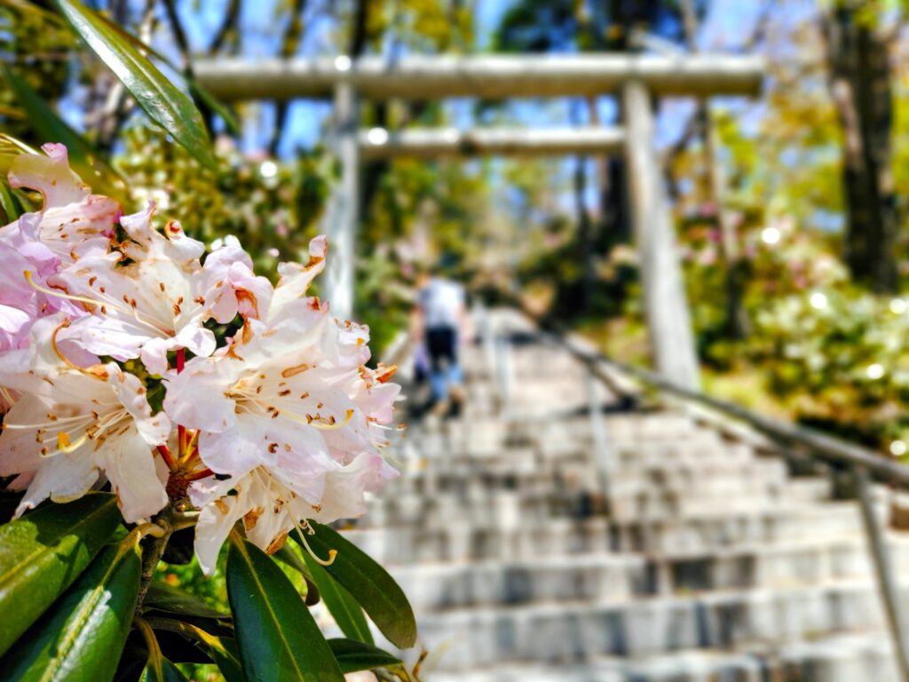 白根神社【群馬県】 20260505 1129492612 1024x768 - 白根神社【群馬県】
