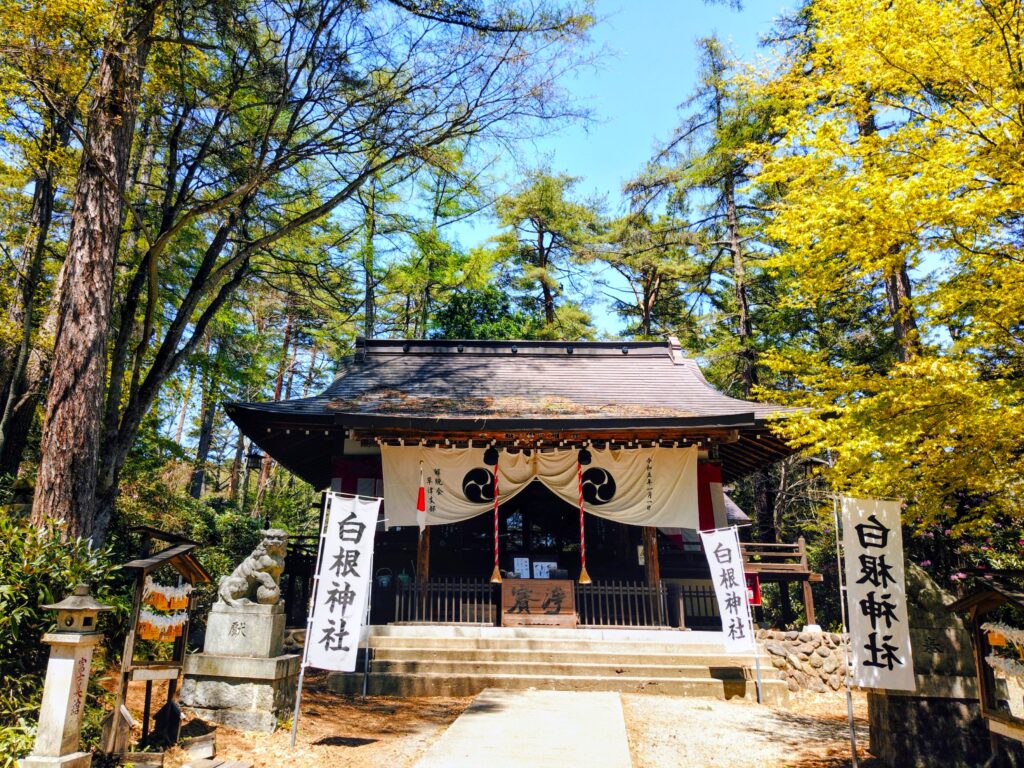 白根神社【群馬県】 20260505 114040901 3 1024x768 - 白根神社【群馬県】