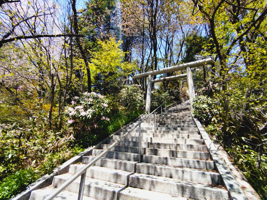 白根神社【群馬県】 20260505 114829635 1024x768 - 白根神社【群馬県】
