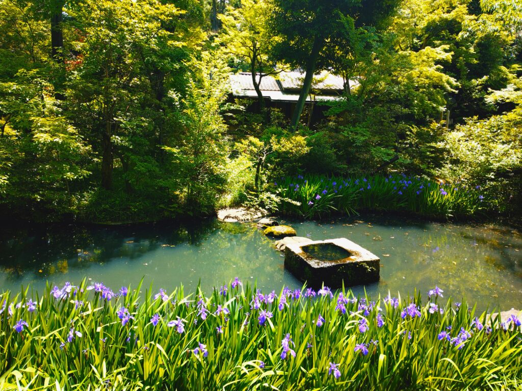 根津美術館【東京都】 20260509 104912914 1024x768 - 根津美術館【東京都】