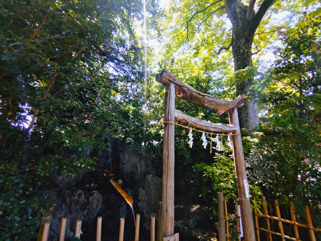 20260517 101208320 1024x768 - 久伊豆神社【埼玉県】