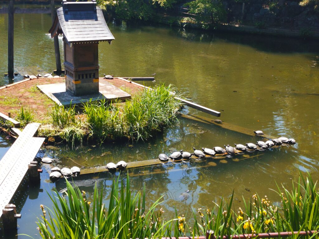 20260517 102713737 1024x768 - 久伊豆神社【埼玉県】